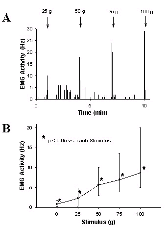 Stimulus-response relationship